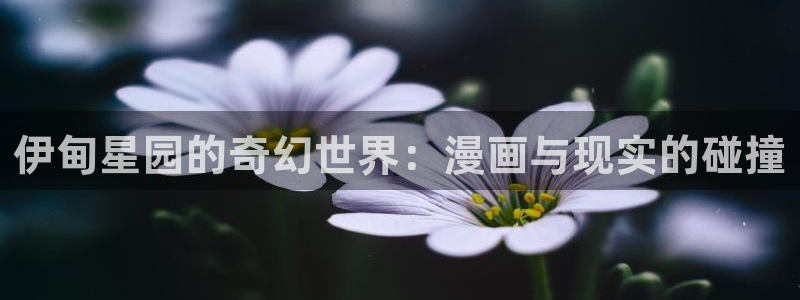 漫画之家app