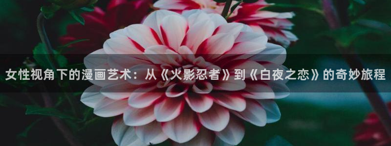免费漫画漫画之家