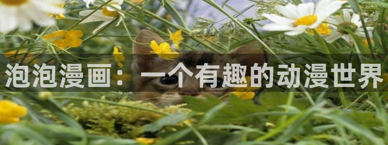 漫画之家免费入口