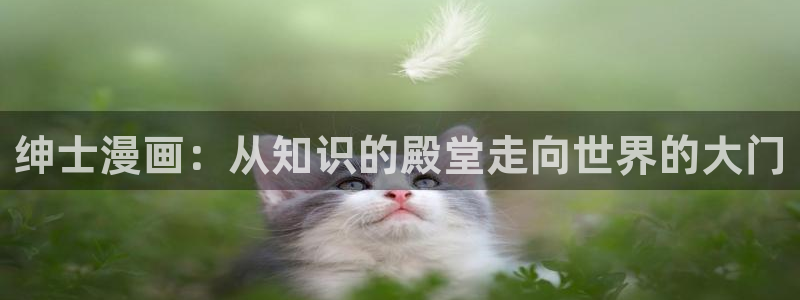 漫画之家漫画网入口