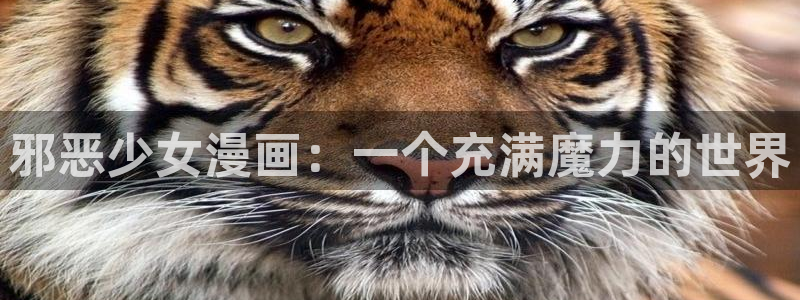 漫画之家app安装
