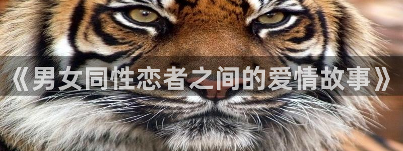 神之塔漫画下拉式免费漫画之家