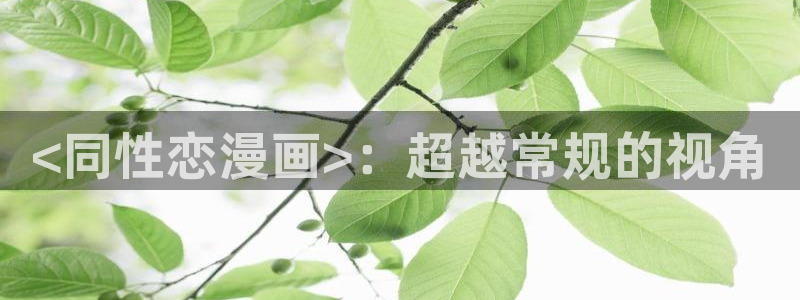 动漫漫画之家