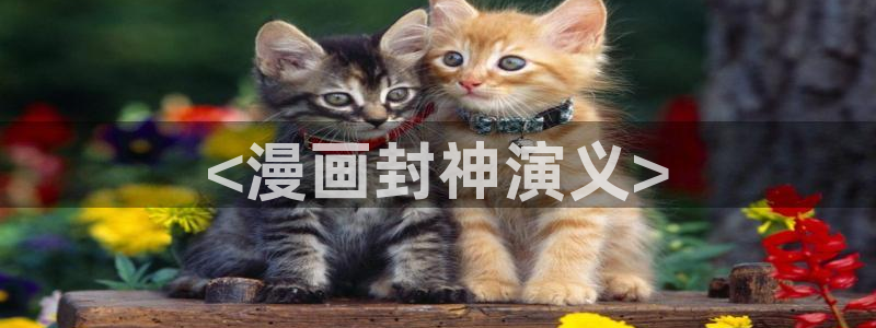 漫画之家漫画