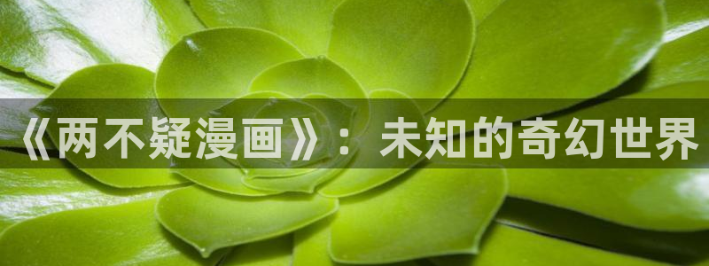 免费漫画漫画之家：《两不疑漫画》：未知的奇幻世界