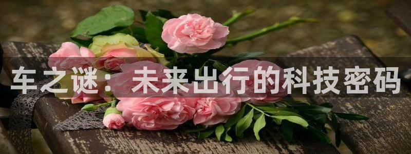杏沙耶漫画之家漫画：车之谜：未来出行的科技密码