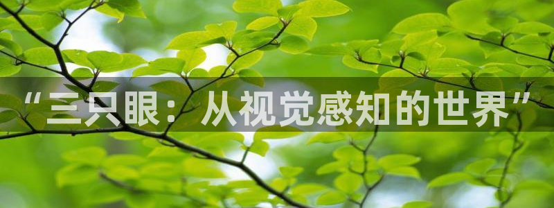 漫画之家下载安装：“三只眼：从视觉感知的世界”